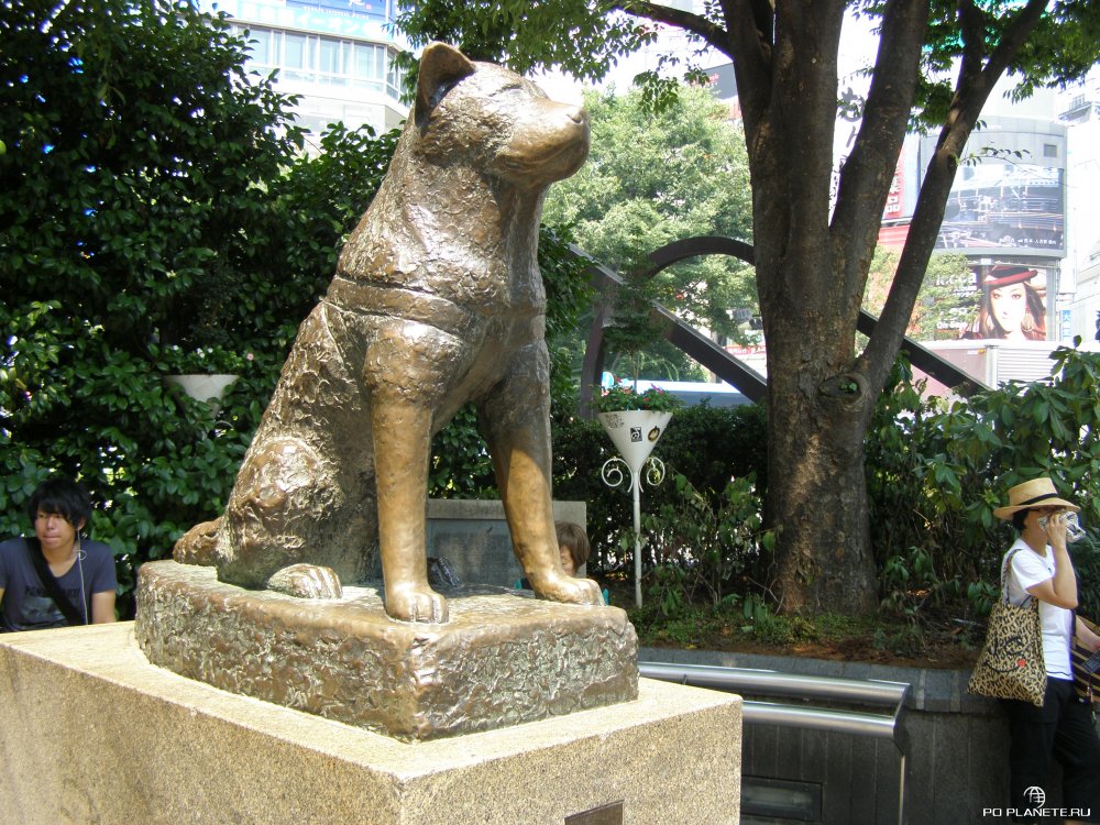 Памятник а японии хатико