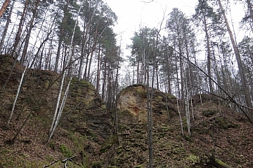 Ичалковский бор