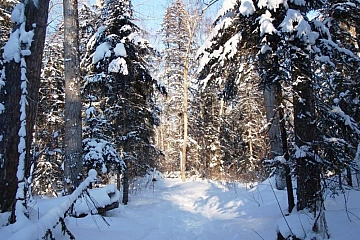 Новый Год на реке Сукпай