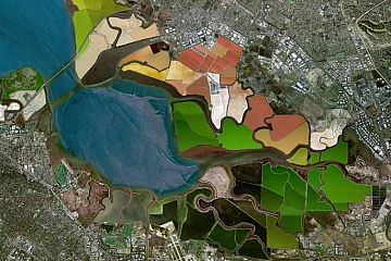 Цветные пруды Сан-Франциско