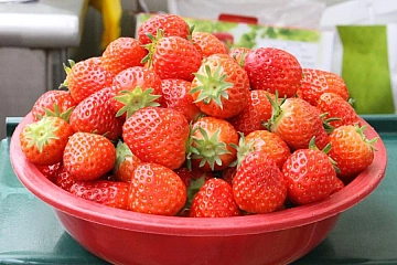 Четыре дня утренней свежести. День второй. Сокчо-Сеул