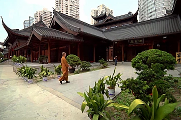 Прогулки по Шанхаю. Храм Нефритового Будды и Французский квартал